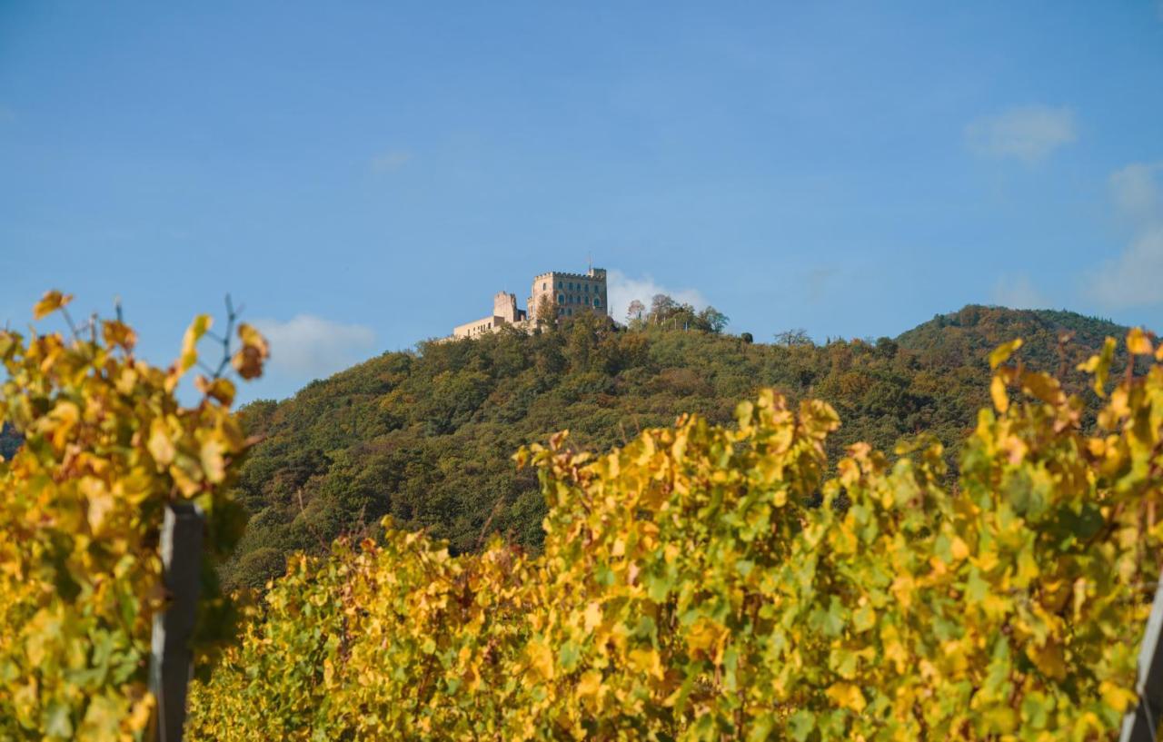 Casa vacanze Weinhaeusel Neustadt an der Weinstraße